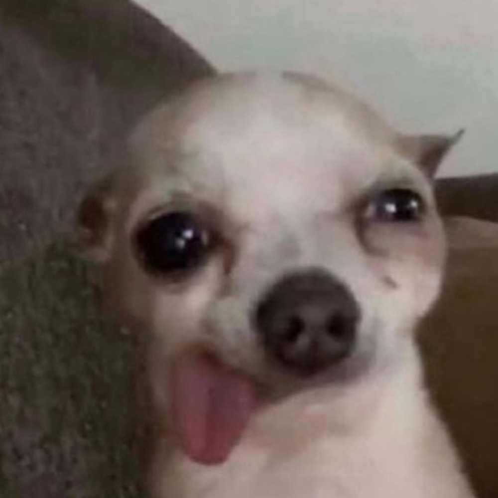 Meet your Posher, Ajza